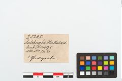 Etikett zu Glasperle (NHMW-PRAE-025205)